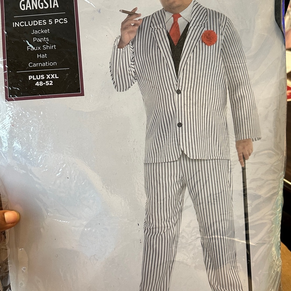 Men's Black and White Striped Suit Costume